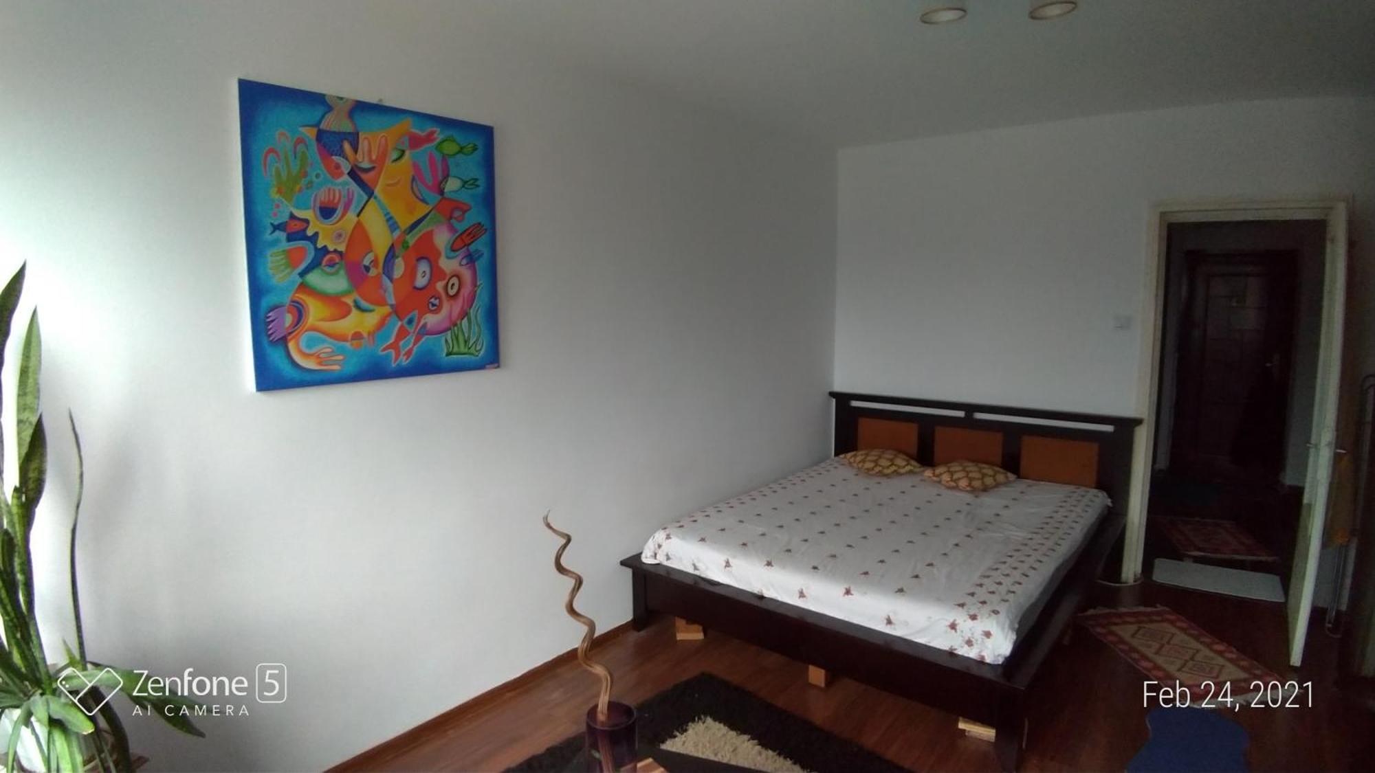 Studio Leo Iasi Extérieur photo
